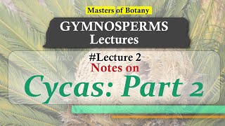 Lecture 2  Cycas General features amp Life Cycle  Gymnosperm Lecture Notes [upl. by Xet]