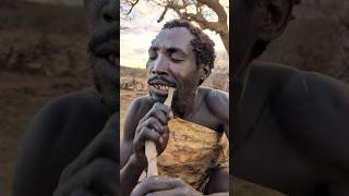 Hadzabe tribe Cookies Meal 🤤 and eating Favorite food so delicious 😋bushmen traditional Culture [upl. by Guthrey738]