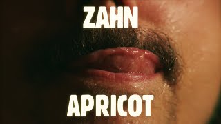 ZAHN  APRICOT Official Video [upl. by Ynohtna]