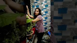 New short video song silvassa adit 30102024 [upl. by Pass]