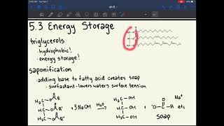 MCAT Biochemistry Ch 5 Lipid Structure and Function [upl. by Nobell]