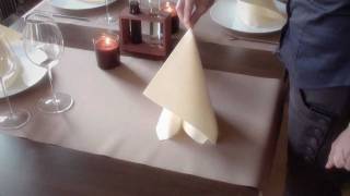 Napkin folding from Duni  Marque [upl. by Ayhtak543]