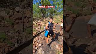 అడవిప్రయాణం🧗 adventure trekking hiking forest wildlife nature trending explore shorts me [upl. by Pacian]