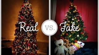 REAL OR FAKE CHRISTMAS TREE [upl. by Davilman]