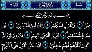 STUNNING BEAUTIFUL RECITATION OF SURAH YASIN YASEEN سورة يس  AKBAR TV DOA [upl. by Reidar]