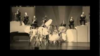 Max Raabe amp Palast Orchester Ich hab´ ne Leidenschaft [upl. by Allison274]