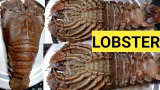 Sand Lobster Cleaning and Cooking process  Indian Style Kasimedu Fish  Lobster gravy Tamil [upl. by Ahsiuqal]