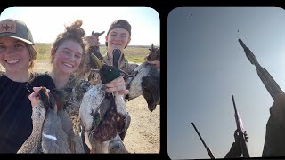 HUNTING WITH MY SIBLINGS 😳  Greenwing Shoveler Mallard  Girls That Hunt [upl. by Weibel]