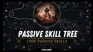 Basics On How The Passive Skill Tree Works  Path Of Exile 2 [upl. by Suryc]