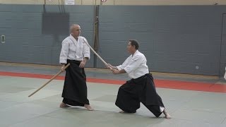 Aikido Christian TISSIER  Cologne  Germany [upl. by Leveroni]