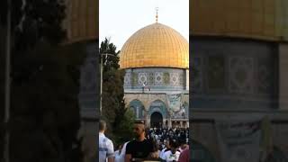 MASJID AL AQSA JERUSALEM NAMAZ E ASAR cover [upl. by Eceinaj]