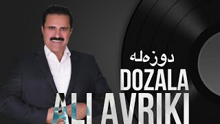 Ali Avriki Xushtrin o Zawqtrin Dozala 2024  علي افريكي خوشترين و زةوقترين دوزةلة ٢٠٢٤ [upl. by Micro355]