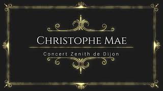 Christophe Mae Concert Zenith Dijon 23102021 [upl. by Honoria]