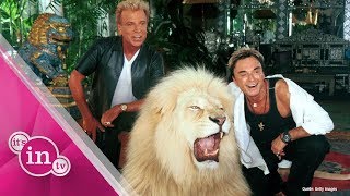 Siegfried und Roy Magier bricht Schweigen zur TigerAttacke [upl. by Grefe]