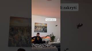 Dlouho žádanej Dopis na rozloučenou ✨ foryoupage fypシ゚viral tiktok cz sk czsk lovely [upl. by Gaultiero926]