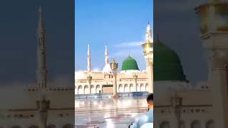 প্রাণের মদিনারে viralvideo duet utv islamic madina sharif duet video vlogger vlog [upl. by Vin]