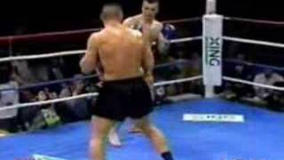 Mirko Cro Cop Filipovic vs Jerome LeBanner [upl. by Haissi]