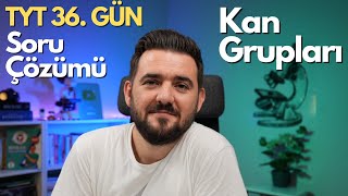 Eş Baskınlık Çok Alellilik Soru Çözümü  39 Günde TYT Biyoloji Kampı  36 GÜN  yks2025 [upl. by Tuesday]