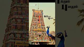 Shashti WhatsApp status video Murugan Tiruchendur 🌺🙏🌺 [upl. by Ahsied223]