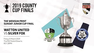 The Wensum Print Sunday Junior Cup Final 201819 [upl. by Adirem]