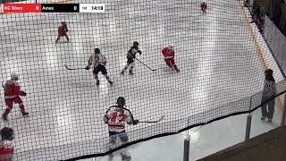 KC Stars Red Bantam VS Ames [upl. by Gilmour]