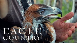 Eagle Country  an encounter with a Wedgetailed eagle in Western Australia [upl. by Oznerol187]