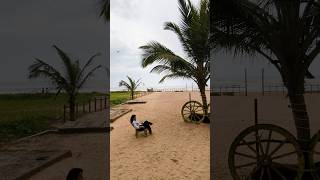 Beach Stay in Gokarna  Aira the Beach House Gokarna travelshorts [upl. by Anselmi111]