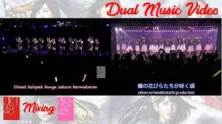 JKT48 amp AKB48  Lyrics KelopakKelopak Bunga Sakura  Sakura no Hanabiratachi [upl. by Werbel]