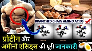 Protein Amino Acids Details in Hindi  Works Benefits Intake and Food Sources  HEALTH JAGRAN [upl. by Eenat]