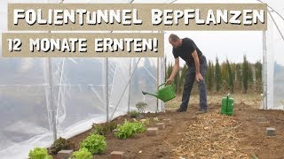 So kann man 12 Monate ernten aus dem Folientunnel Profitipps [upl. by Eittocs]