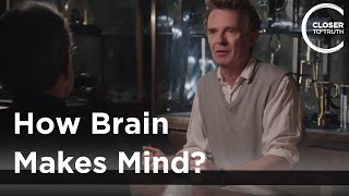 Galen Strawson  How Brain Makes Mind [upl. by Yauqram]