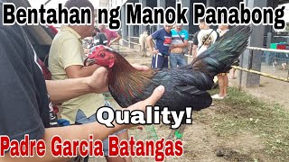 MGA QUALITY ANG MANOK Bentahan ng Manok Panabong sa Padre Garcia Batangas [upl. by Devlen343]