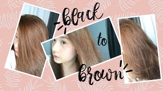 DIY Hair Dye  No Bleach  Philippines  PixiePeach ♥ [upl. by Immac867]