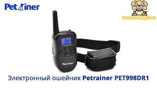 Электронный ошейник для дрессировки собак Petrainer PET998DR [upl. by Aikrehs655]