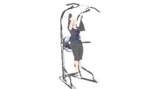 BodyCraft T3 Life Tree Total Training Power Tower [upl. by Lynna6]