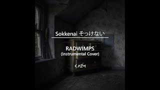 Sokkenai そっけない  RADWIMPS Instrumental Cover [upl. by Oiludbo984]