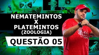 NEMATEMINTOS X PLATEMINTOS – QUESTÃO 05 – LISTA 23 ZOOLOGIA [upl. by Airliah]