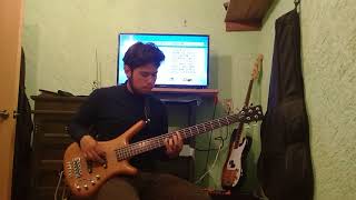 Cumbia  linda enfermera  bass cover [upl. by Laddy]