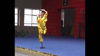 Les Moines shaolin à Dakar pour un spectacle sans pareil [upl. by Dalia568]