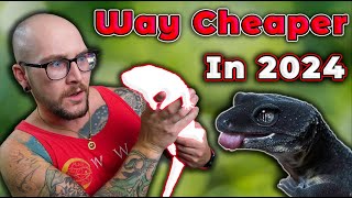 5 Reptiles That Will Be WAY CHEAPER in 2024 [upl. by Esineg715]