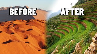 REVEALED How China Transformed Desert Into Green Landscapes The Fastest Way [upl. by Brandi]