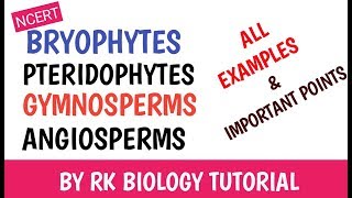 BRYOPHYTES PTERIDOPHYTES GYMNOSPERMS amp ANGIOSPERMS EXAMPLES [upl. by Tterb]