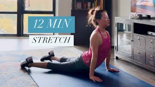 12 MIN DAILY ESSENTIAL STRETCHES for Flexibility amp Mobility [upl. by Hak]