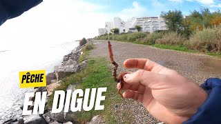 Pêche en digue pêche fishing surfcasting [upl. by Etteval]