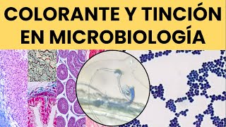 Colorantes en Microbiología Uso y Aplicaciones Prácticas [upl. by Loziram]