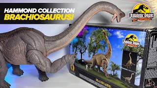 NEW BRACHIOSAURUS Hammond Collection Brachiosaurus Review [upl. by Thurman]