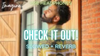 CHECK IT OUT Slowed  Reverb  Parmish Verma X Paradox [upl. by Chenay]