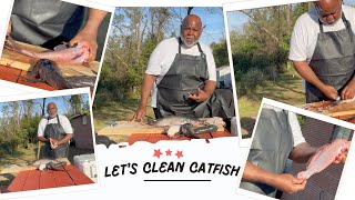 LETS CLEAN CATFISH fypyoutube catfish cleaningfish fish explorepage [upl. by Akihsar]