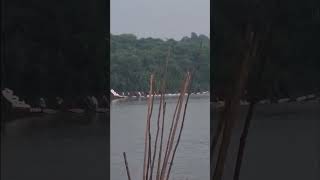 Le chant de guerre des piroguiers sur le fleuve Wouri Cameroon [upl. by Kcirdec]