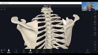 SonoAnatomy of Thoracic Spine  Intercostal Nerve Block  Paravertebral Block  Erector Spinae Block [upl. by Hippel319]